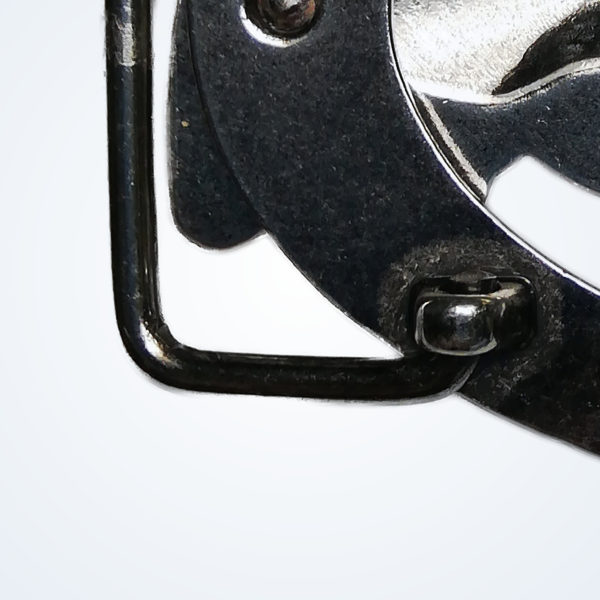 Dolphin – Detail 4