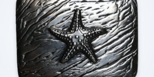 Seestern – Vorderseite