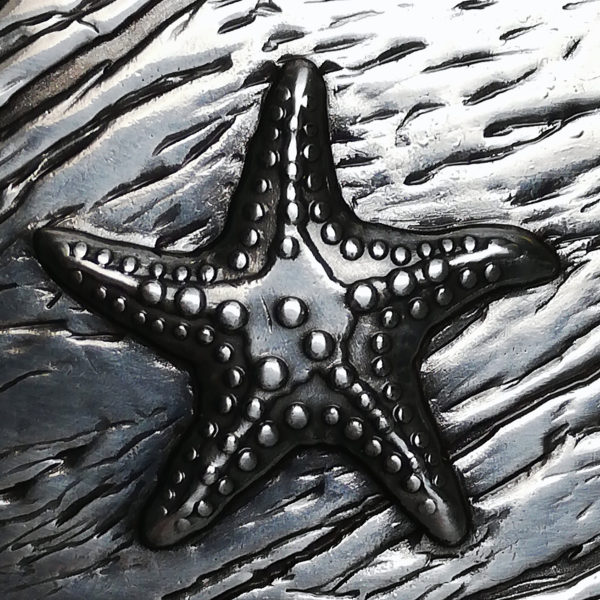 Seestern – Detail
