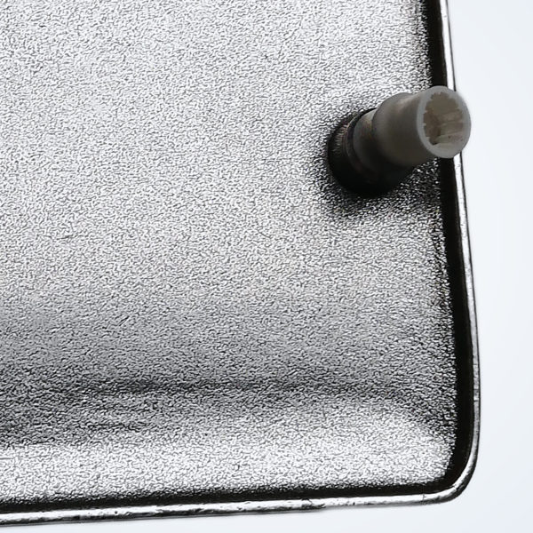 Seestern – Detail 3
