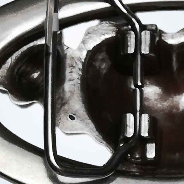 Frösche – Detail 4