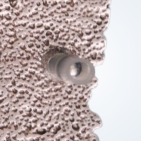 Adler – Detail 3