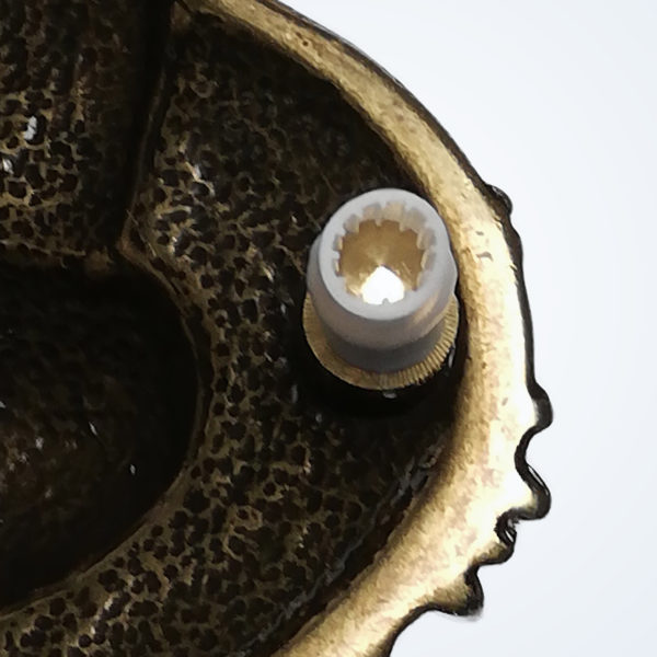 Tiger Gold – Detail 3