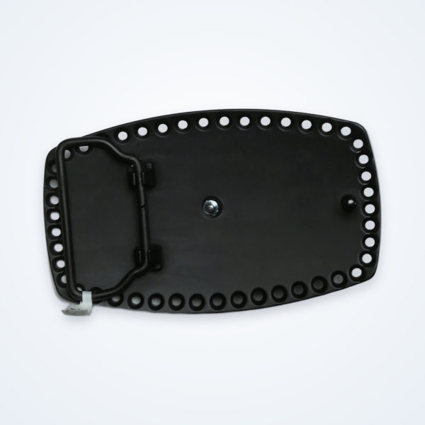 Texas black goldhorn – Rückseite