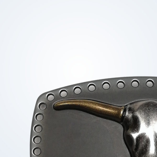 Texas black goldhorn – Detail