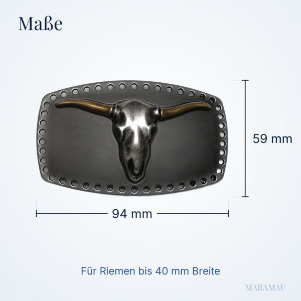 Texas black goldhorn – Maße