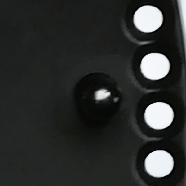 Texas black goldhorn – Detail 3