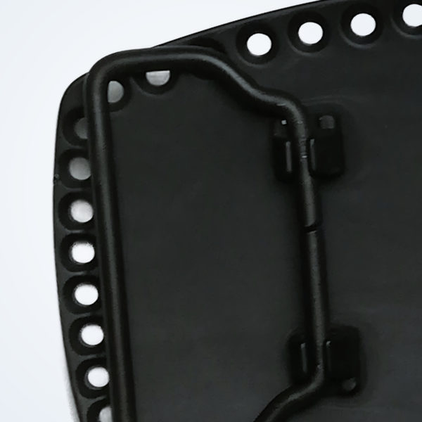 Texas black goldhorn – Detail 4