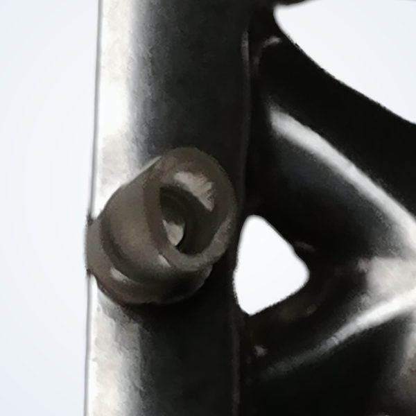 Seestern – Detail 3
